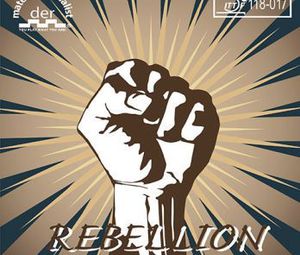 Der Materialsp. Rebellion Der Materialspezialist Firestorm Soft